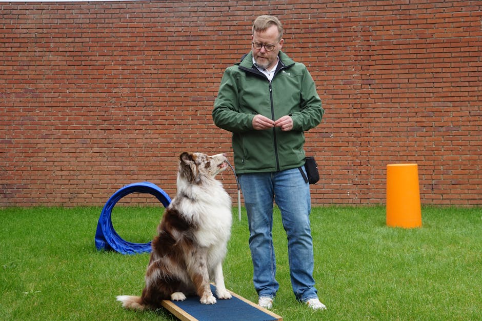 Member and dog in focused movement during club training
