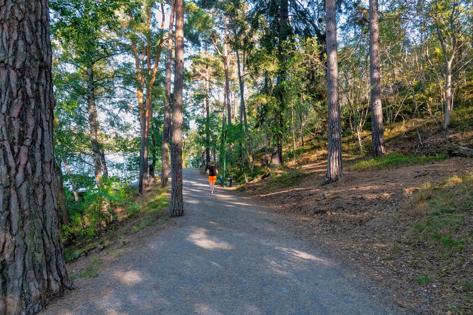 Open landscape used for club walks and outdoor learning